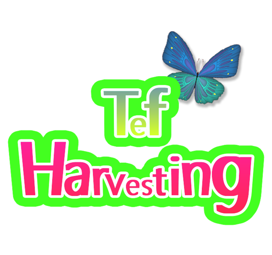 Tef@LiveCraft Tef@LiveCraft