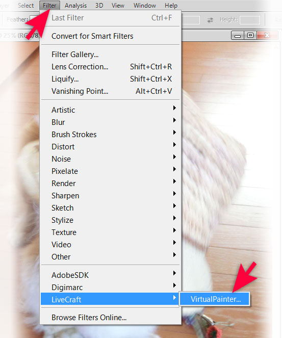 Plugin version