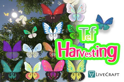 Tef@LiveCraft
